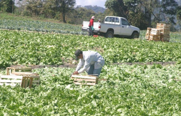 El sector agropecuario fue uno de los beneficiados.