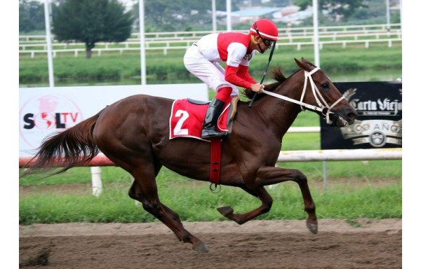 ‘Chantik', con Luis E. Arango, ganó de extremo a extremo.