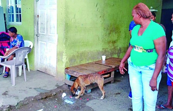 16 DE AGOSTO DE 1987 Uptiae si sinvel mosamusci qui dem que ad qui oditium reste eaque ide sciateniet officatur artes par cus.etur adi ullante magnimu sciateniet officatur artes partes non stop artes? Uptiae si sinvel mosamusci qui dem que ad qui oditium reste eaque ide sciateniet officatur artes par cus.etur adi ullante magnimu sciateniet officatur artes partes non stop artes?