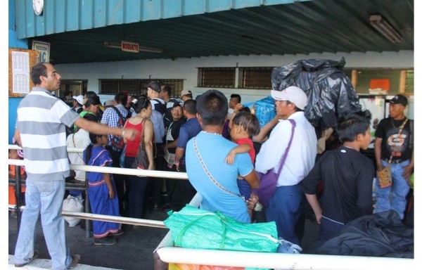 Buscan evitar que los menores laboren en fincas.