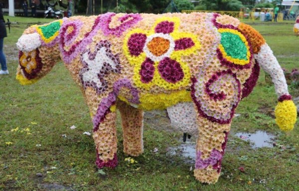 La naturaleza de Volcán encanta a visitantes