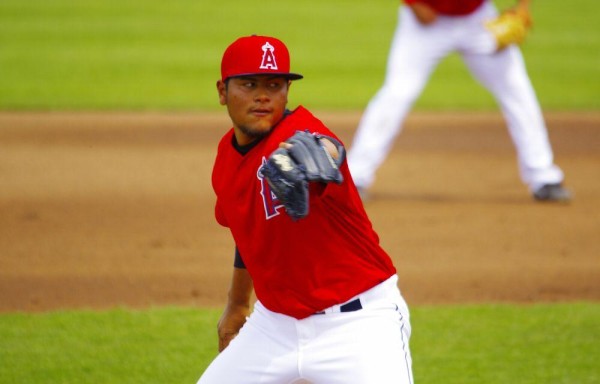 Lanzó para las Burlington Bees.