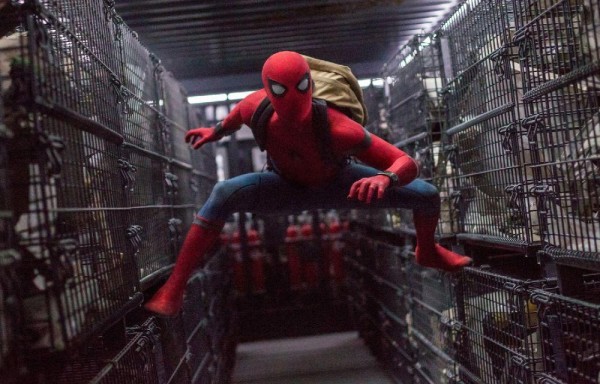 Intenta volver a su rutina diaria normal