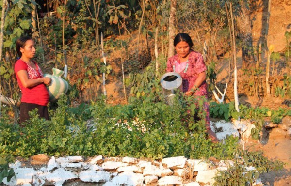 El 8.35% realiza labores de agricultura.