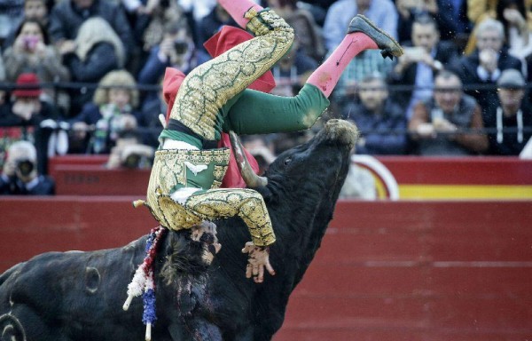 Toro le sacó la mugre en corrida