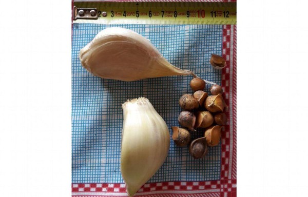 Baños y rituales para atraer abundancia y suerte en 2023