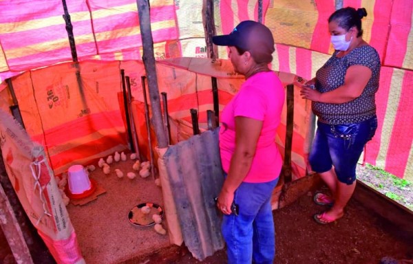 Para el 2021 se busca beneficiar a otras 2 mil familias.