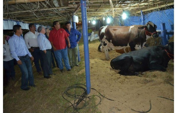 Feria ganadera es muy concurrida.