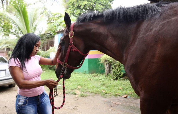 A los caballos hay que tratarlos con mucho amor y cariño como si fueran parte de la familia.