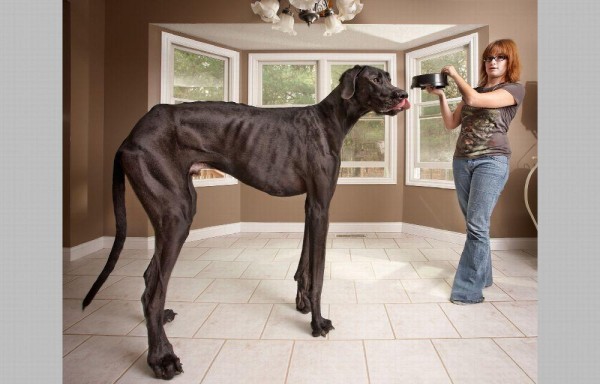 Zeuz vivió hasta los cinco años.