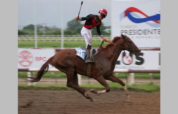 El ganador llegando a la meta con la conducción del jinete José Morelo.