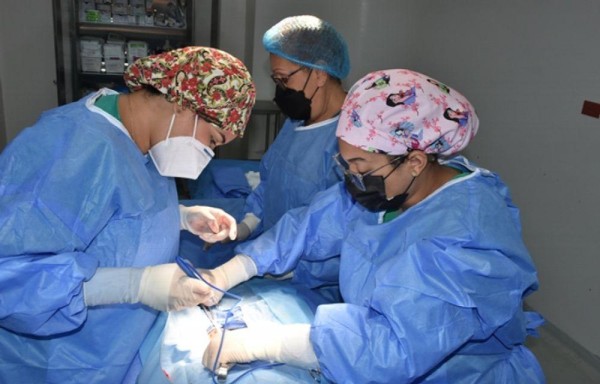 El proceso es gratuito, según Lau.