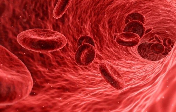 Tratamiento de células madres