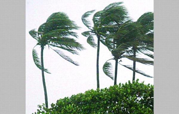 Tormenta tropical Julia deja decenas de personas afectadas