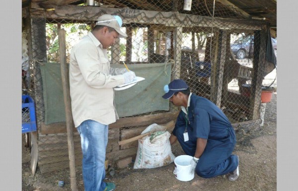 De los 14 casos, unos 11 fueron en Los Santos.