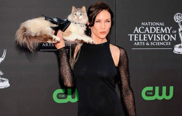 Subastan bolso de gato muerto