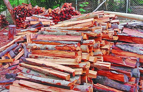 ¿Trabajadores fueron ejecutados por ser testigos de algo ilícito?