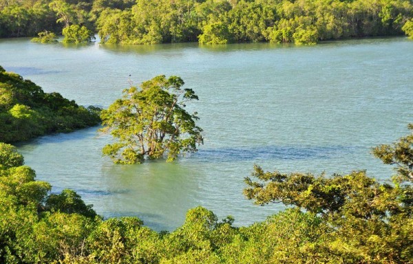 Las autoridades están buscando fortalecer la condición de área protegida del refugio de vida silvestre en este país.
