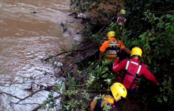 Operativos de búsqueda.