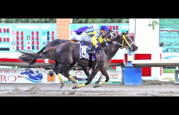 ‘Salustio' llegando a la meta con la monta del jinete boricua Irad Ortiz Jr. para dominar esa prueba por tercera vez en su carrera.