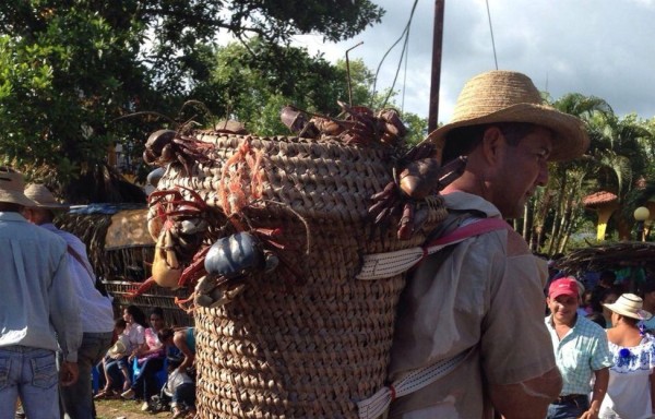 Los cangrejos eran parte de la fiesta