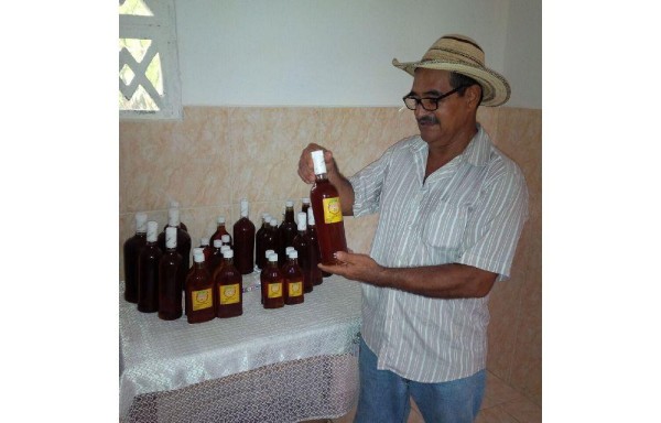 Espera poder exportar su miel a corto plazo.