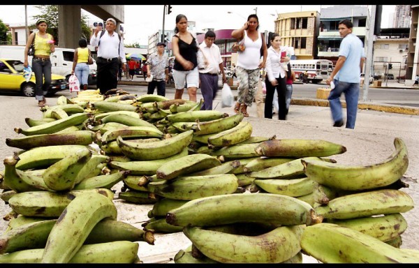 Fuente de alimento para muchos consumidores.