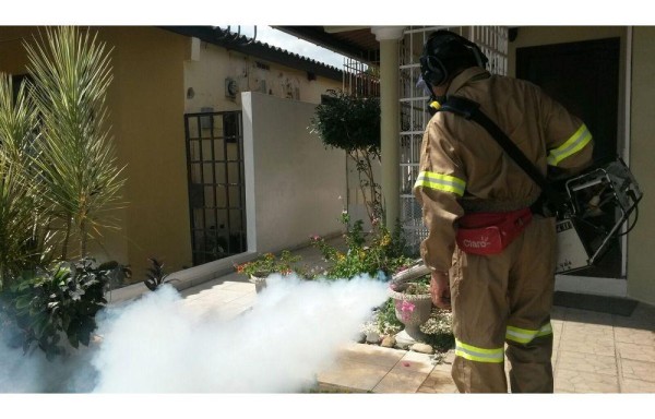 Brisas del Golf persiste en mantener los criaderos del mosquito.