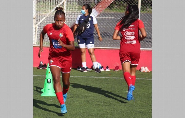 El proceso arrancó en septiembre pasado.