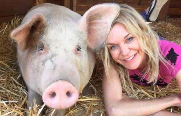 Pigcasso, la cerda artista