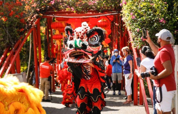 Tradicional danza del dragón chino