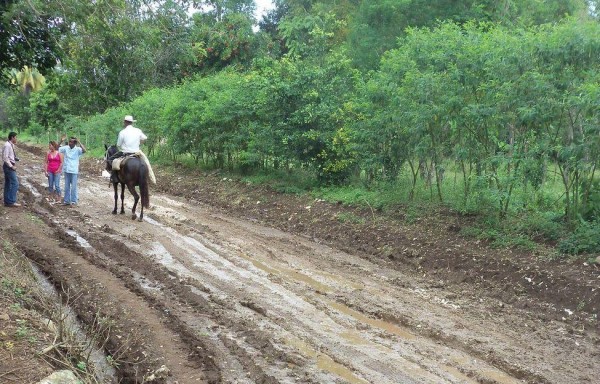 Solo puede ser transitada caminando o a caballo.