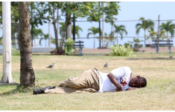 Prefirió una siesta bajo el sol que mojarse.