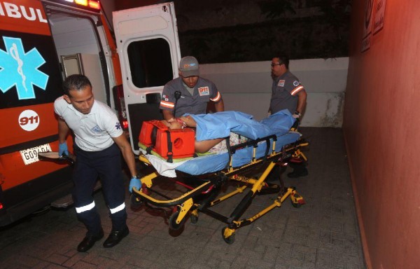 Árbol le cayó encima a un bus en Loma Cová