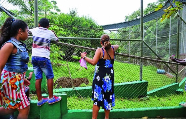 MiAMBIENTE determinó que es necesario ajustar las tarifas