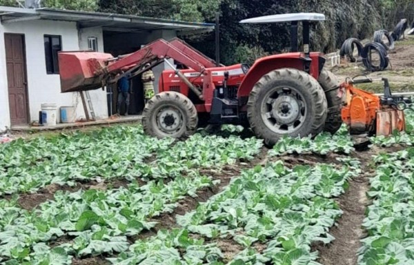 Ngäbes piden aumento de salario, patrono los despide y desaloja