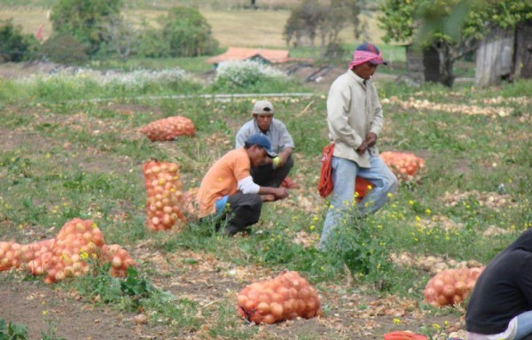 Productores se mantienen preocupados ante este tratado