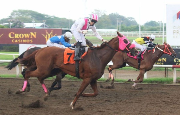 ‘Honey Kingdom', dominó.