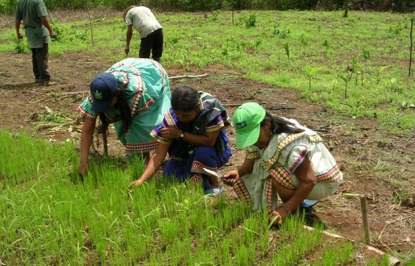 Los productores se declaran en alerta contra posibles importaciones y aumentos de precio a consumidores.