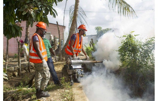 Personal fumiga diversos lugares contra el mosquito.