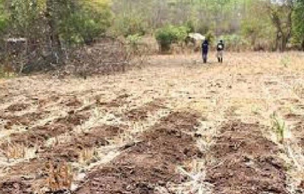 La FAO mantiene 26 proyectos en curso en la zona, según la información oficial.