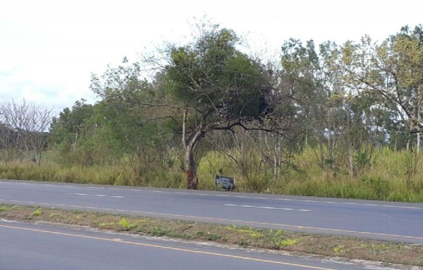 Área donde se registró la tragedia.