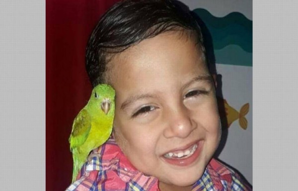 El festival de las alas será el 18 y 19 de junio