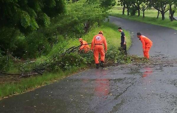 Niño pierde la vida al buscar unas guabas en Veraguas