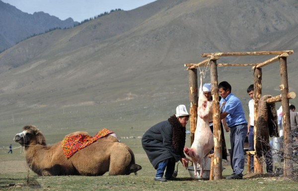 Las olimpiadas salvajes de Asia