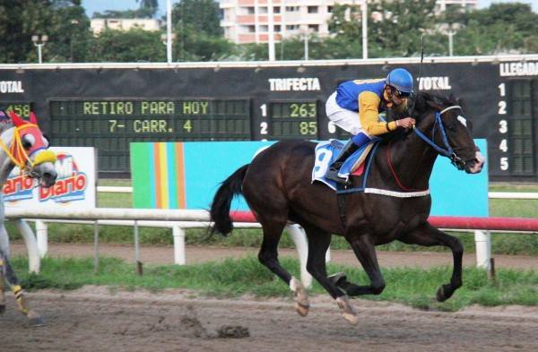 ‘El Quiche’ irá por uno más para sus divisas.