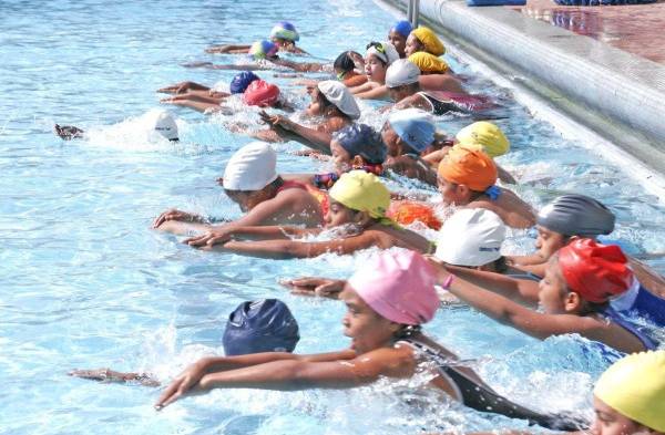 ¿Cuál será el más adecuado?