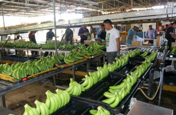 Los trabajadores hablaron con los diputados.