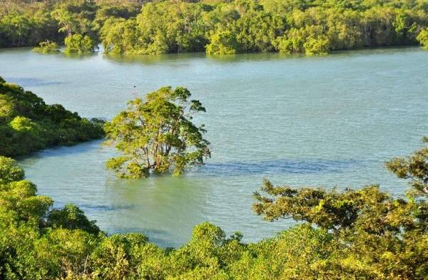 Imagen de humedales en la Bahía de Panamá.