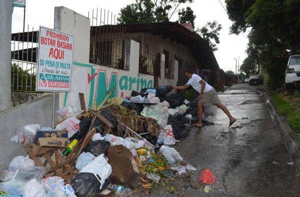 Vivienda es afectada por las alimañas.